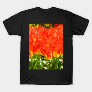 Red Tulips T-Shirt